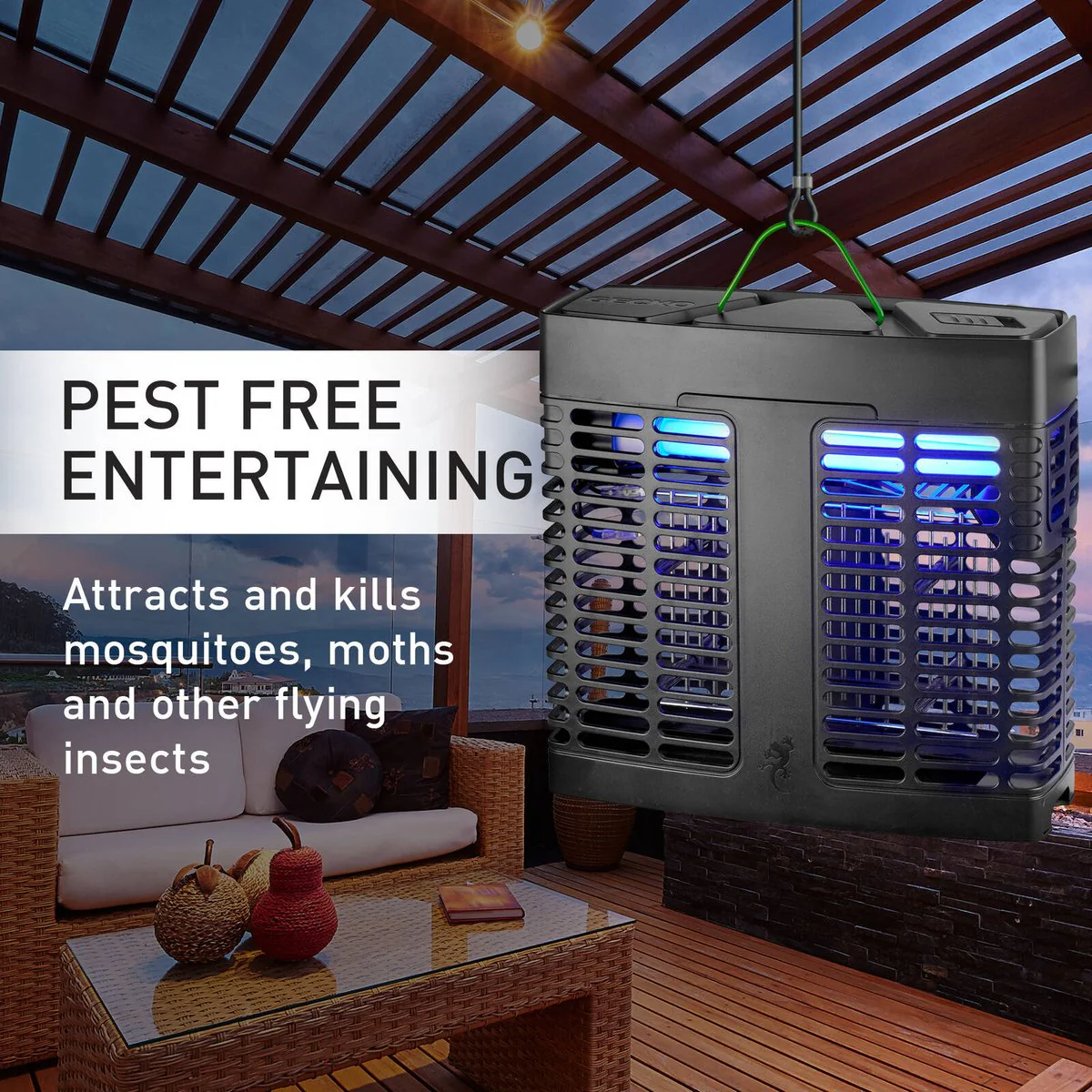 Thumbnail 5